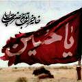 Telegram channel خادمین اهل بیت علیهم السلام خادمین اهل بیت علیهم السلام logo