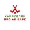 Логотип телеграм канала @khairullinab — Хайруллин про Ак Барс