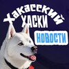 Логотип телеграм канала @khakassian_husky — Новости | Хакасский хаски