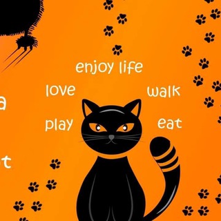 Логотип телеграм канала @khatulim_madan — Багира Курская