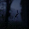 Логотип телеграм канала @khedayakh — خ