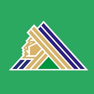 Логотип телеграм канала @khl_salavat — ХК "Салават Юлаев" Green Machine News