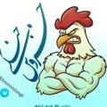 لوگوی کانال تلگرام khooorooosjangi — 🐓 خروس جنگی🎃