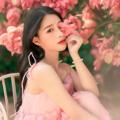 Logo saluran telegram khuvuonbuomxinh — Gái Xinh Việt Nam 🔞 @vuonbuom