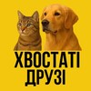 Логотип телеграм -каналу khvostatidruzi — Хвостаті Друзі 🐾