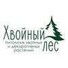 Логотип телеграм канала @khvoynyy_les23 — Хвойный лес