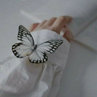 لوگوی کانال تلگرام khwaterr99 — حٍڪآيتي آلُِصغيرة 🤍🦋