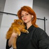 Логотип телеграм канала @kibagrooming — Хроники Грумера | KibaGroom