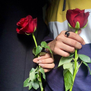 لوگوی کانال تلگرام kibreaman100 — حــ love ـب وحــ warـرب