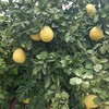 Telegram channel Афиша детских мероприятий в Пафосе🌴 logo