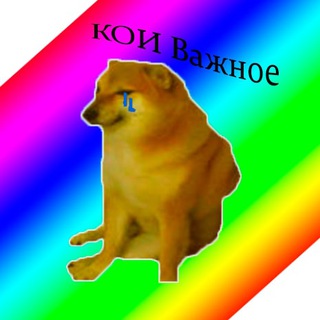 Логотип телеграм -каналу kifrecs — КІ важна інфа