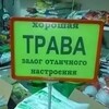 Логотип телеграм канала @kikimiyyyooolllllll — ᶻ 𝗓 𐰁