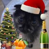 Логотип телеграм канала @kilkabylbyll — килькабульбуль🎅🏿🍍