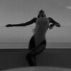 Логотип телеграм канала @killingkiss — kiss at sunset