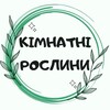 Логотип телеграм -каналу kimnatnikvitu — 🪴 КІМНАТНІ РОСЛИНИ 🪴