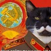 Логотип телеграм канала @kindom_of_memes — Царствие мемецкое
