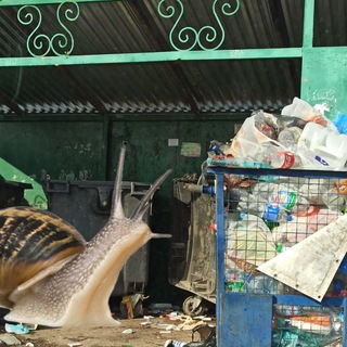 Логотип телеграм канала @kingofpshop — KingOfPhotoshop