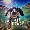 Logo of telegram channel kingpets — 🔞𝙤𝙘𝙚𝙖𝙣 𝙙𝙤𝙜𝙨🌊