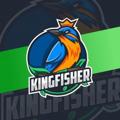 Telegram channel KINGFISHER TOSS LINE logo