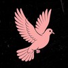 Logo of telegram channel kinkydoves_ru — Kinky Doves – БДСМ Знакомства