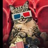 Логотип телеграм канала @kino_mot — кино pro