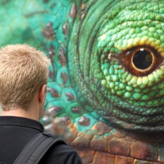 Логотип телеграм канала @kinoclub_channel — Анонсы КиноКлуба ПдР