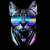 Telegram channel КИНОФАН1000🎥ОБОИ👍🏼 Тут все обои из TT logo