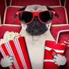 Логотип телеграм канала @kinoline777 — 🍿КИНОЛАЙН❤️‍🔥