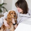 Логотип телеграм канала @kinolog_zhukova_dog — Добрый кинолог Жукова 🤎