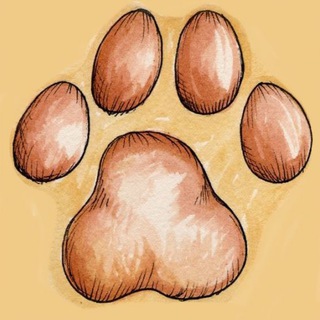 Логотип телеграм канала @kinologbali — КИНОЛОГ на Бали 🐶🌴