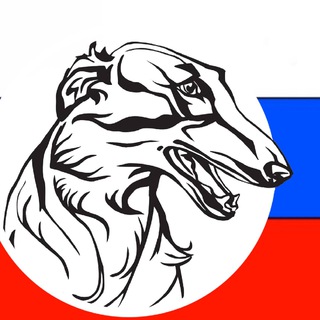 Логотип телеграм канала @kinologrf — Кинология РКФ