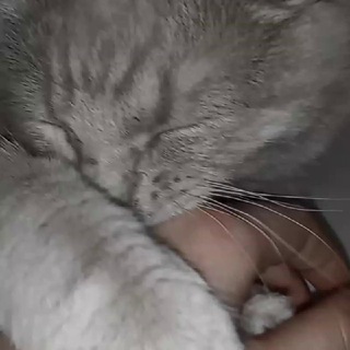 Логотип телеграм канала @kiraedit — ♡Kiraxww.q♡