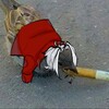 Логотип телеграм канала @kirorich — Kirorich | sparrrow_