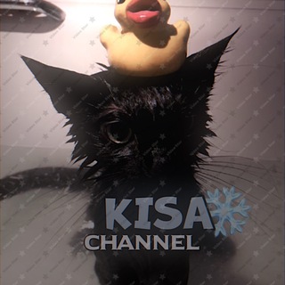 Логотип телеграм канала @kisacc — bnstxx👊🏻