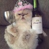 Логотип телеграм канала @kiskaprava — КИСКА ВСЕГДА ПРАВА