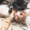 Логотип телеграм канала @kissymissylu — 𝒘𝒐𝒓𝒌𝑯𝒐𝒖𝒔𝒆 🎀||ЗАРАБОТОК БЕЗ ВЛОЖЕНИЙ