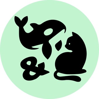 Логотип телеграм канала @kit_i_kot — Кит и Кот