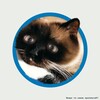 Логотип телеграм -каналу kitautyst — Кіт Аутист