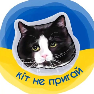 Логотип телеграм -каналу kitdontjump — кіт не пригай