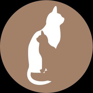 Логотип телеграм -каналу kitikishka — Двійко котиків
