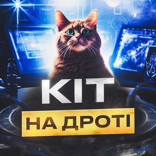 Логотип телеграм -каналу kitnadroti — Кіт на дроті