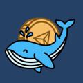 Logo saluran telegram kitnegit — Китовая бухта