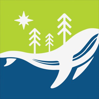 Логотип телеграм канала @kitovybereg — Экопарк-отель «Китовый Берег»