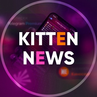Логотип телеграм канала @kitten_news — Новый канал: @kittenstore_news