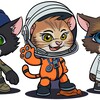 Логотип телеграм канала @kitten_space_agency — KSA - Kitten Space Agency