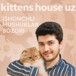 Telegram kanalining logotibi kittens_house_uz — 🐈‍⬛ Kittens House Uz | Мушуклар бозори (расмий канали) 🐾