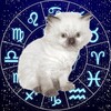 Логотип телеграм канала @kittensandhoroscope — Кот