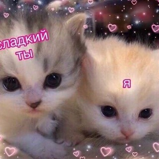 Логотип телеграм канала @kitti_orell — kitti_orell