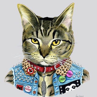 Logo of telegram channel kittiepunk — Kitty Punk