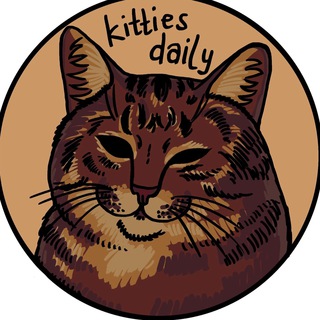 Логотип телеграм -каналу kittiesdaillyy — kitties daily